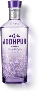 Jodhpur Baori